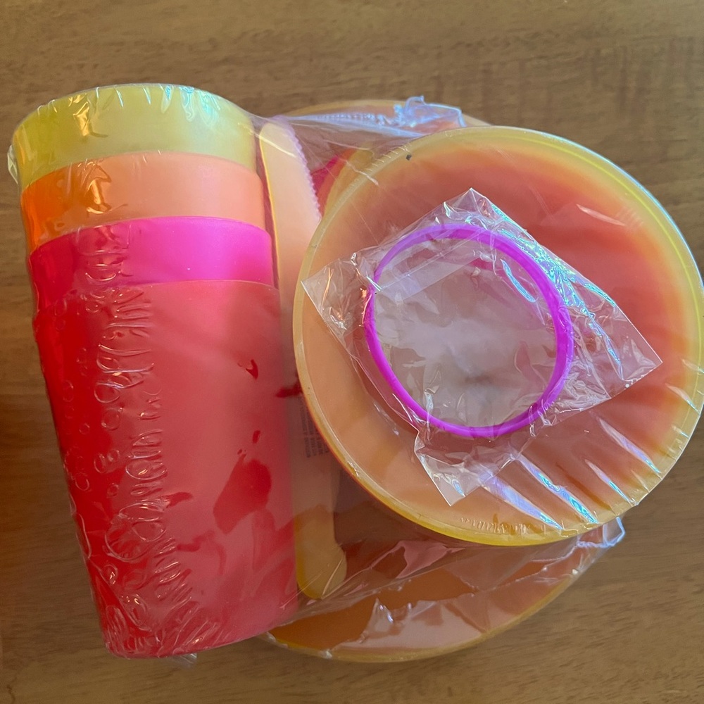 New Pier One Soleil Collection plastic picnic dinnerset